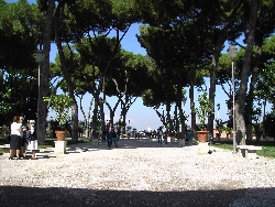 giardino degli aranci