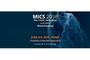 MICS 2018 preview 1